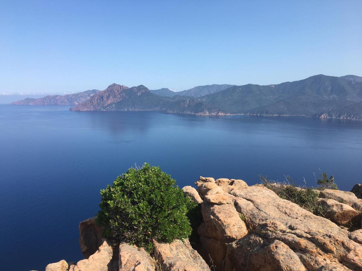 Eco Lodge Carbonaccio Chiatra Εξωτερικό φωτογραφία
