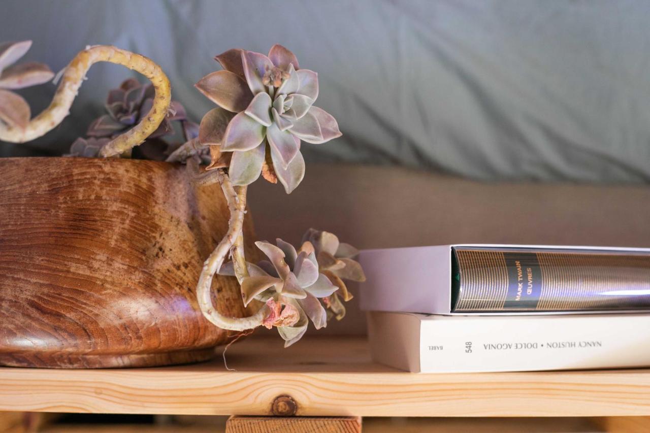 Eco Lodge Carbonaccio Chiatra Εξωτερικό φωτογραφία