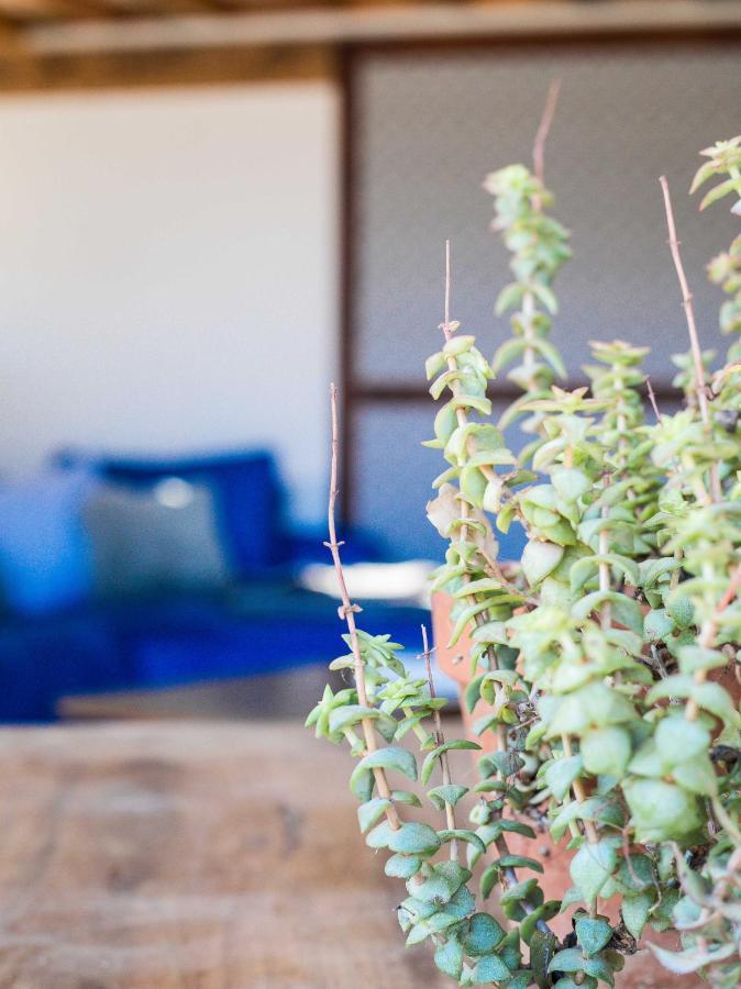 Eco Lodge Carbonaccio Chiatra Εξωτερικό φωτογραφία